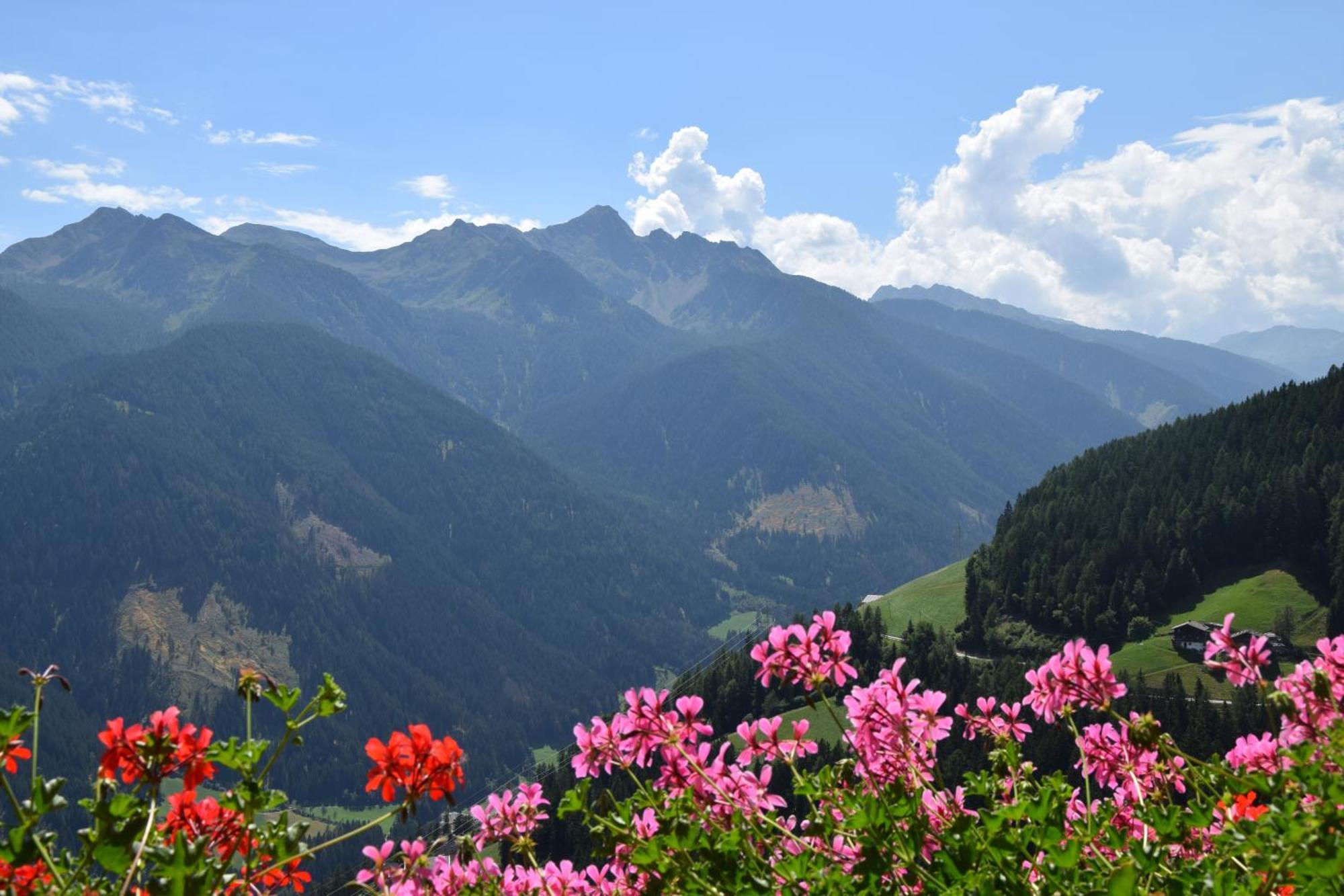 Ortlerhof Im Ultental - Urlaub Auf Dem Bauernhof 外观 照片