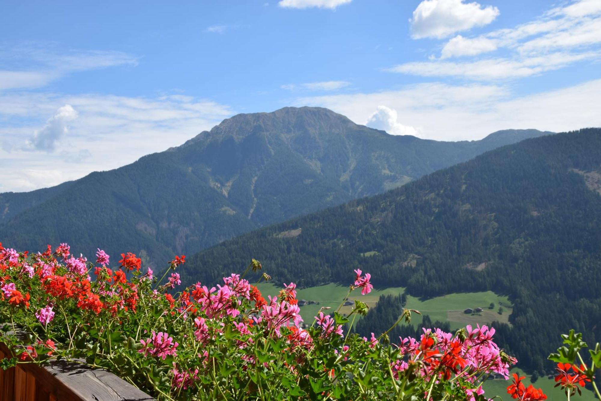 Ortlerhof Im Ultental - Urlaub Auf Dem Bauernhof 外观 照片